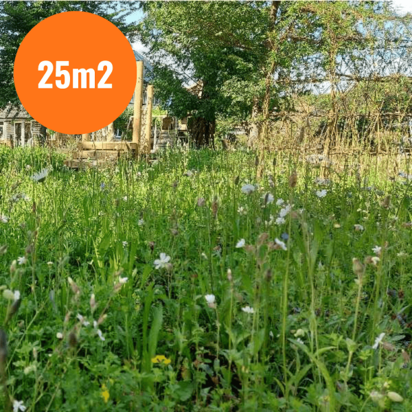 FORMOSA WILDFLOWER GARDEN TURF 25m2